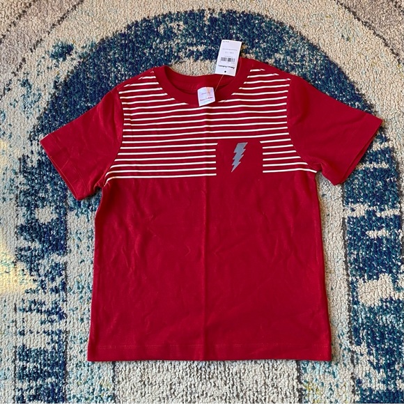 NWT Hanna Andersson Tee and Shorts Outfit 110 cm - Picture 3 of 4